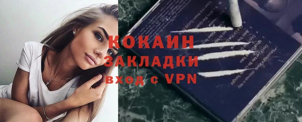 гидра Белокуриха