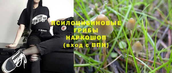 гидра Белокуриха